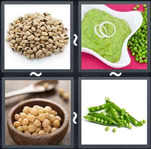4 Pics 1 Word Level 1721