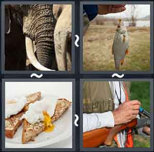 4 Pics 1 Word Level 1737