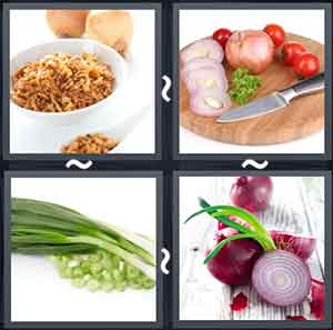 4 Pics 1 Word Level 1746