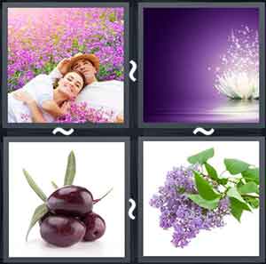 4 Pics 1 Word Level 1757