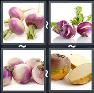 4 Pics 1 Word Level 1782