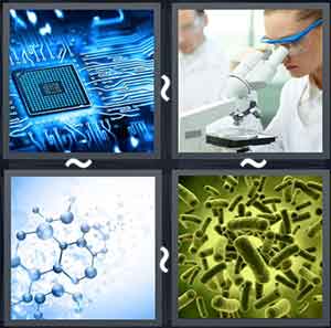 4 Pics 1 Word Level 1801