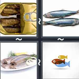 4 Pics 1 Word Level 1879