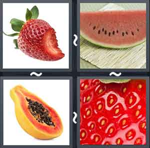4 Pics 1 Word Level 2024