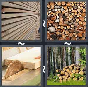 4 Pics 1 Word Level 2025