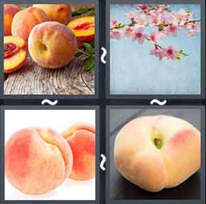 4 Pics 1 Word Level 2029