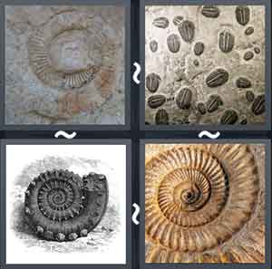 4 Pics 1 Word Level 2033
