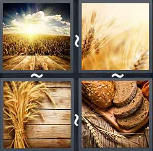 4 Pics 1 Word Level 2043