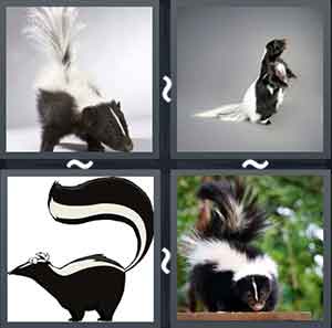 4 Pics 1 Word Level 2046