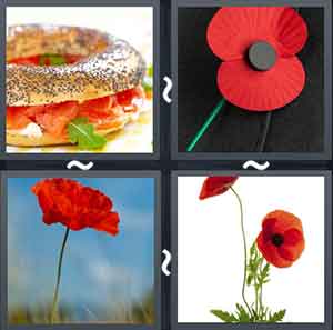4 Pics 1 Word Level 2049