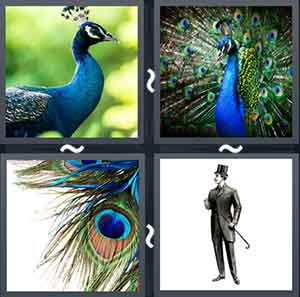 4 Pics 1 Word Level 2076