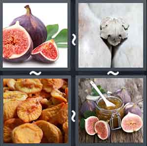 4 Pics 1 Word Level 2089