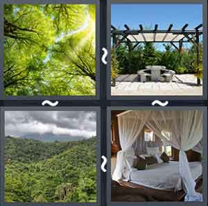 4 Pics 1 Word Level 2094