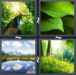 4 Pics 1 Word Level 2099