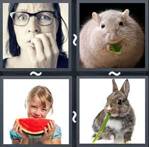 4 Pics 1 Word Level 2112