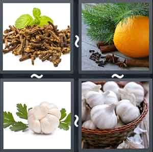 4 Pics 1 Word Level 2125
