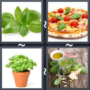 4 Pics 1 Word Level 2147