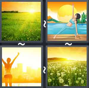 4 Pics 1 Word Level 2165