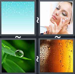 4 Pics 1 Word Level 2166