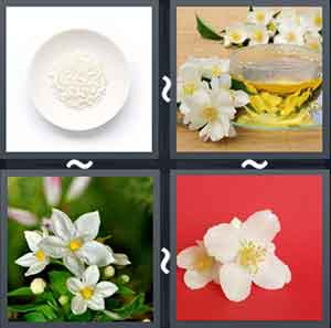 4 Pics 1 Word Level 2173