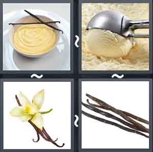 4 Pics 1 Word Level 2197