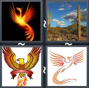 4 Pics 1 Word Level 2213
