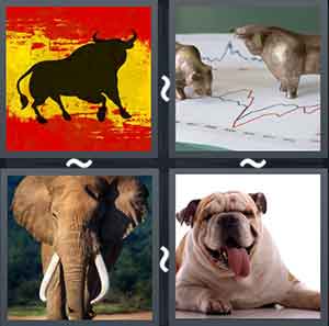 4 Pics 1 Word Level 2223