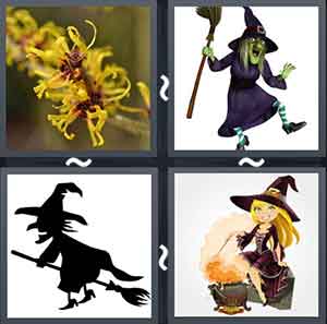 4 Pics 1 Word Level 2229