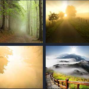 4 Pics 1 Word Level 2244