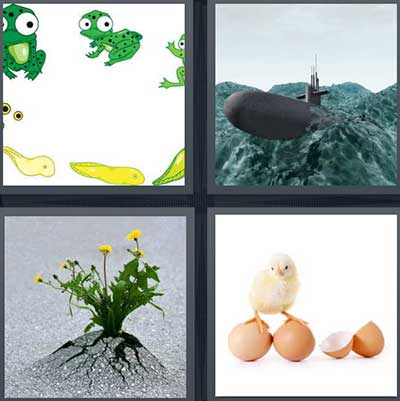 4 pics 1 word answers 6 letters winding river