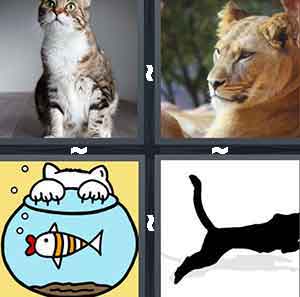 4 pics 1 word puma cat lion