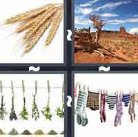 4 Pics 1 Word level 1-10 3 Letters