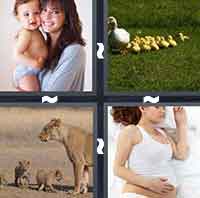 4 Pics 1 Word level 3-14 6 Letters