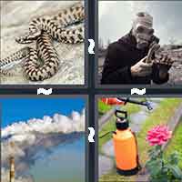 4 Pics 1 Word level 11-8 5 Letters