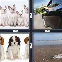 4 Pics 1 Word level 8-10 6 Letters