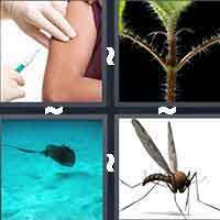 4 Pics 1 Word level 12-1 5 Letters