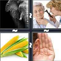 4 Pics 1 Word level 4-5 3 Letters