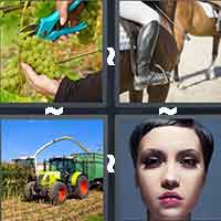 4 Pics 1 Word level 11-15 4 Letters