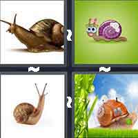 4 Pics 1 Word level 16-11 5 Letters