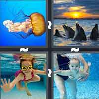 4 Pics 1 Word level 14-14 4 Letters