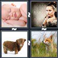 4 Pics 1 Word level 5-1 3 Letters