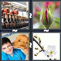 4 Pics 1 Word level 5-2 3 Letters