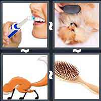 4 Pics 1 Word level 18-4 5 Letters