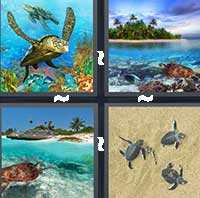 4 Pics 1 Word level 18-13 6 Letters