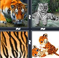 4 Pics 1 Word level 23-2 5 Letters