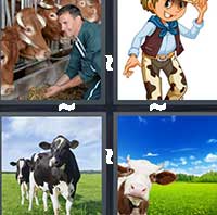 4 Pics 1 Word level 6-15 3 Letters