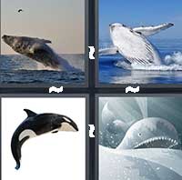 4 Pics 1 Word level 23-10 5 Letters