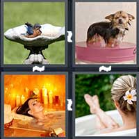 4 Pics 1 Word level 21-5 4 Letters