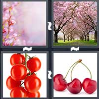 4 Pics 1 Word level 19-4 6 Letters