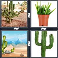 4 Pics 1 Word level 19-11 6 Letters